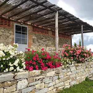 Tregole Castellina in Chianti